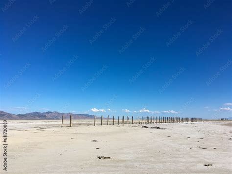 Row Of Abandoned Wooded Pillars Possibly From A Pier In Rozel Bay The