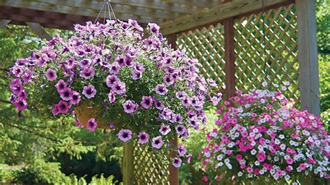 Hanging Basket Hacks Garden Gate