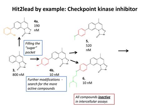 Hit Lead By Example Checkpoint Kinase Inhibitors Ppt