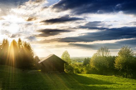 Free Images Landscape Tree Nature Grass Horizon Cloud Sun