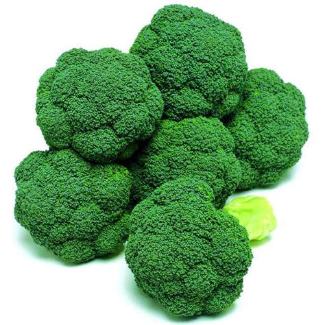 12 Top Performing Broccoli Varieties - Growing Produce