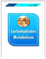 Carbohydrate Metabolism Mcq Enzymes Pathways Atp Yield Course Hero