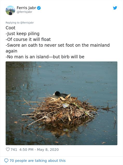 Person Writes Hilarious Bird Nest Reviews On Twitter 19 Pics Demilked