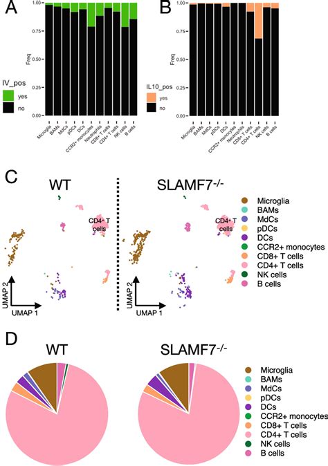 The Resident CNS IL 10 Immune Niche In WT And SLAMF7 Mice During