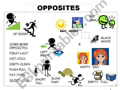 Esl English Powerpoints Opposites