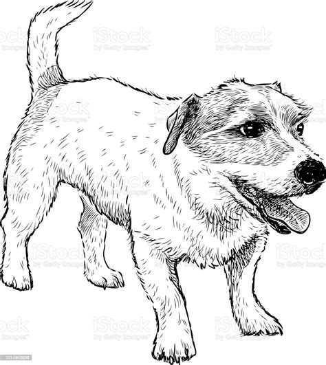 Sketsa Gambar Anjing 53 Koleksi Gambar