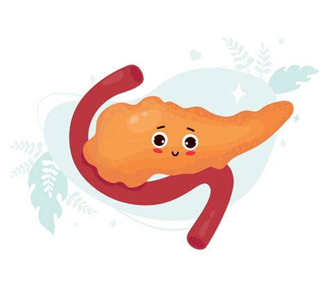 Cute Cartoon Pancreass Funny Human Organ Vector Flat Cartoon