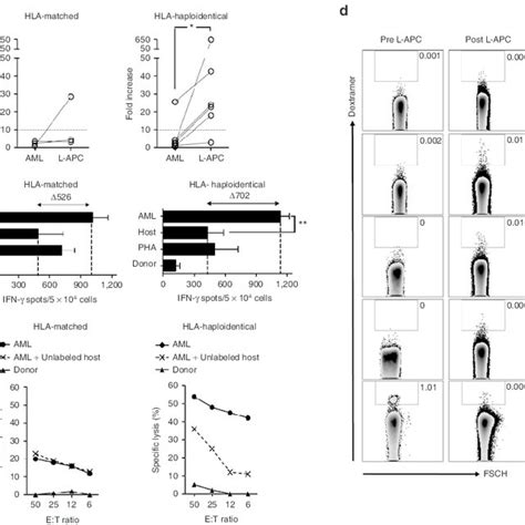 Expansion And Leukemia Reactivity Of T Cells Stimulated With L APcs T