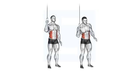 Cable Side Crunch Guide Benefits And Form