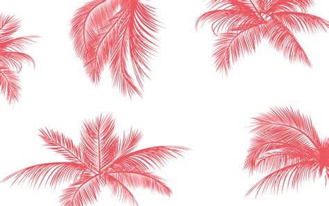 Pink Palm Wallpapers Top Free Pink Palm Backgrounds Wallpaperaccess