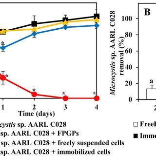 Freely Suspended Cells And Immobilized Cells Of Bacillus Sp Ak On The