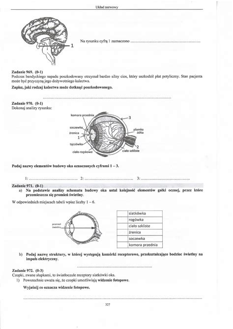 Układ nerwowy 4 narządy zmysłów zadania maturalne z odpowiedziami