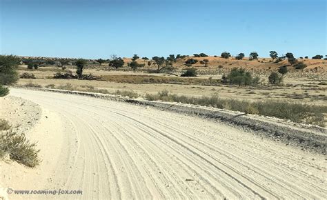 Itinerary And Route To Kgalagadi Transfrontier Park — Roaming Fox