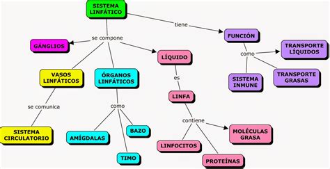 Mapas Conceptuales Mind Maps Y Science Experiments Mapa Conceptual