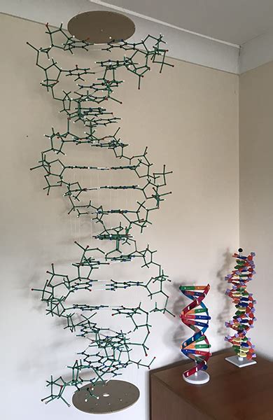 Micscape Lite Product Review Cochranes Of Oxford Minit Proview Dna