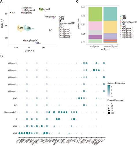 Frontiers Construction And Validation Of A Ferroptosis Related