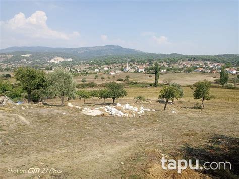 Milas ta 13 Dönüm Yatırımlık Kagir Ev ve Arsası Muğla Milas