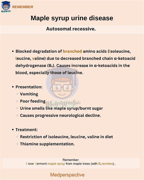 Maple Syrup Disease Medizzy