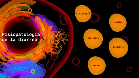 Fisiopatología de la diarrea by Estrella Indacochea on Prezi