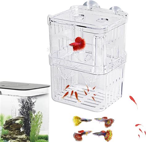 Fish Breeding Box Aquarium Fish Tank Hatchery Breeding Boxes Clear