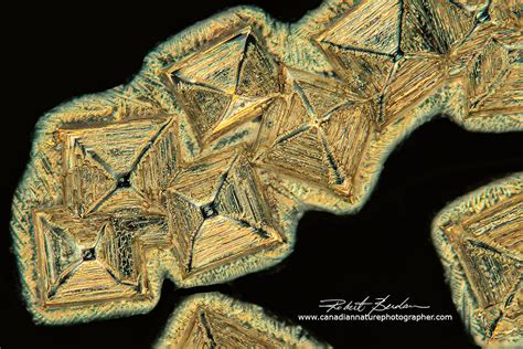 Crystals Photographed With Polarization Microscopy The Canadian