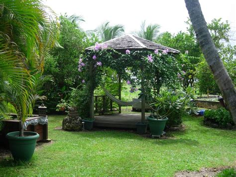 20 Hammock "Hang-out" Ideas for Your Backyard - Garden Lovers Club