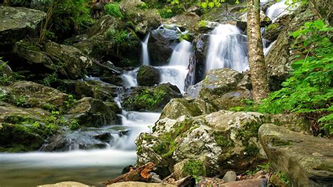 Shenandoah · National Parks Conservation Association