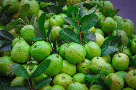 Buah Buahan Yang Ampuh Untuk Melancarkan Bab