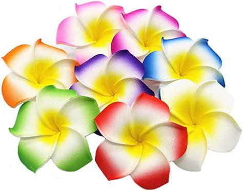 Amazon Pursuestar Pcs Mixed Colors Foam Hawaiian Frangipani