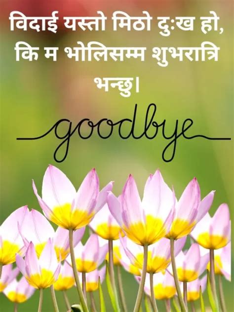 Goodbye Quotes In Nepali With English Translation