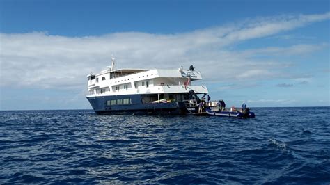 Hawaii Cruise Expedition With UnCruise Adventures - Quirky Cruise