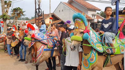 Kuda Renggong Di Hari Raya Idul Fitri Silaturahmi Seniman Kuda