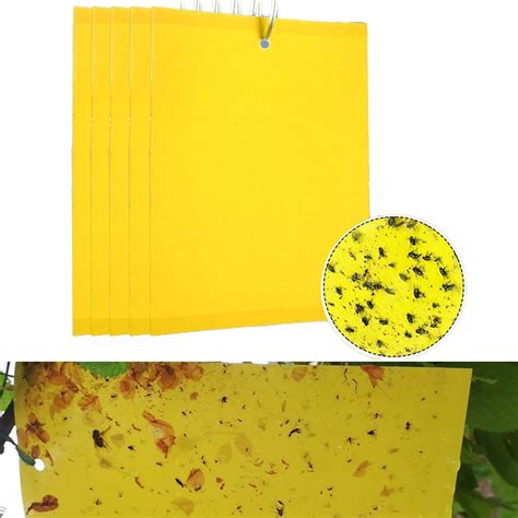 Mlfu 5 Sheet Double Sided Yellow Sticky Traps For Flying Plant Insect