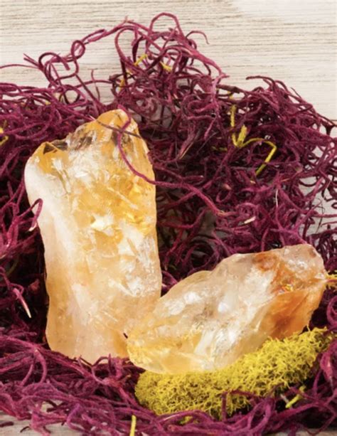 The Best Crystals For Sex And Love Guaranteed To Enhance Your Sex Life Stylecaster