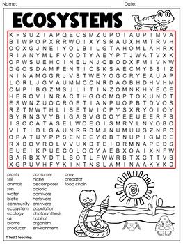 Ecosystems Word Search Activity By Tied 2 Teaching TpT