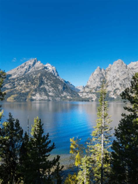 Plan Your Vacation To Grand Teton National Park In August Story