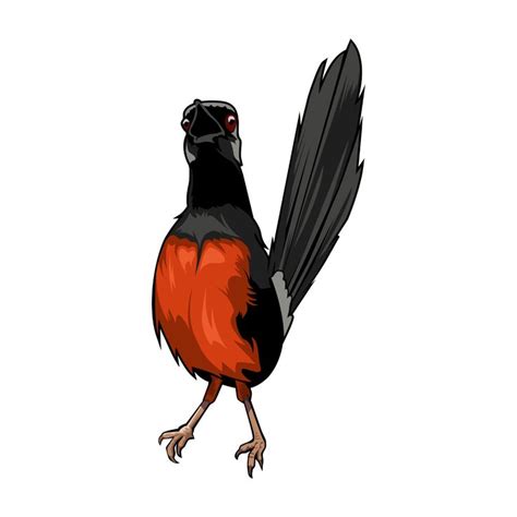 vector burung gambar burung ilustrasi burung desain vektor