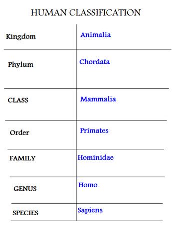 Classification And Evolution Flashcards Quizlet