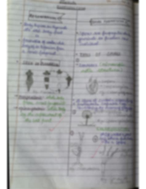 SOLUTION Reproduction In Organisms Cbse Biology Class 12th Handwritten