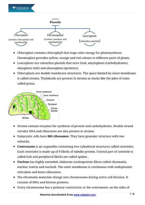 Cell The Unit Of Life Class 11 Notes Vidyakul