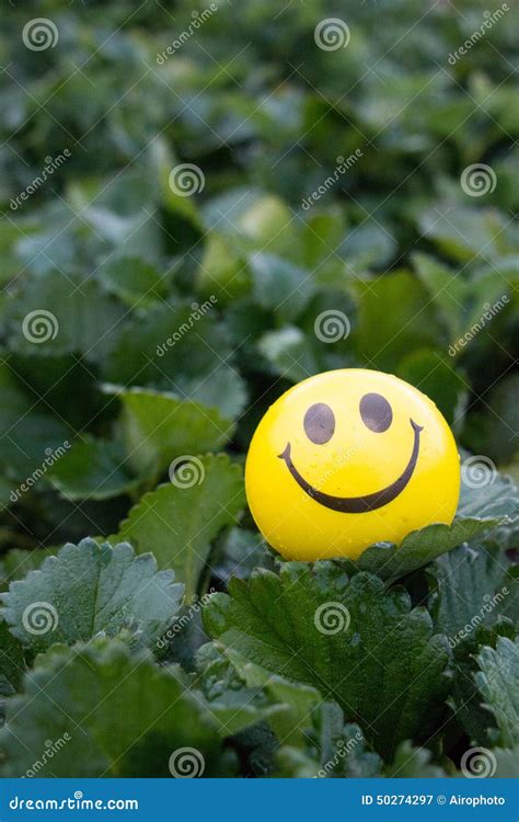 Smile stock image. Image of icon, garden, smiley, plant - 50274297