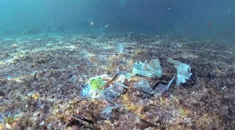 Allarme Plastica Il Wwf L Inquinamento Ha Superato Il Limite Planetario