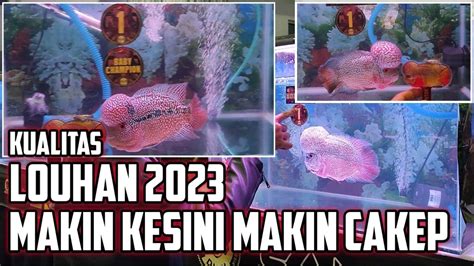 KUALITAS LOUHAN TERBARU 2023 JUARA FINAL ILC 2023 SEREM BANGET YouTube