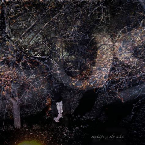 SUs Sex Tape Sly Why Split Vixu