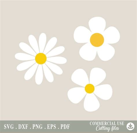 Daisy Flower Svg Daisy Flower Png Spring Daisy Flower File Digitale