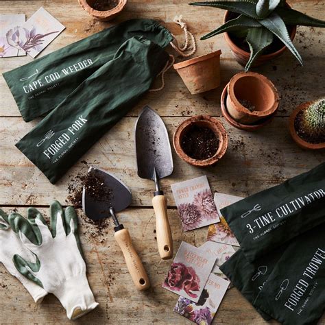 Gardening For Beginners Essential Tools You Need To Get Started