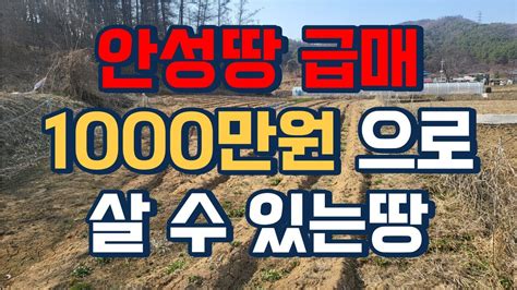 안성땅 급매 1000만원으로 살 수 있는 땅 010 3391 6663 Youtube