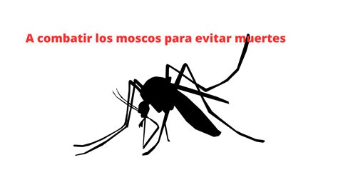 Ante El Incremento De Casos La Secretar A De Salud Debe Reforzar