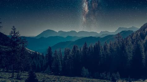 Wallpaper Mountains Forest Starry Sky Landscape Night Hd Picture