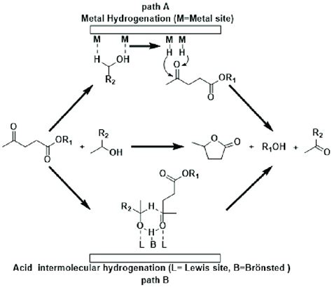 Scheme 2. Catalytic transfer hydrogenation mechanisms of LA. | Download ...